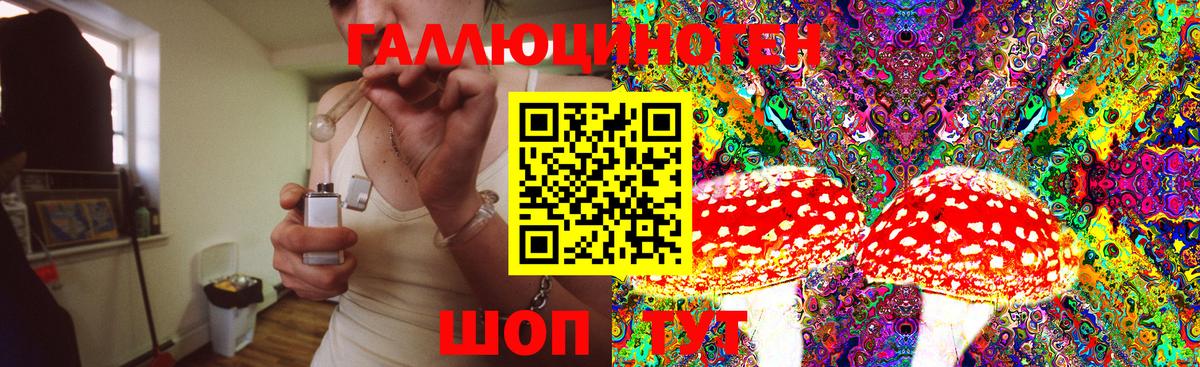 Новоалтайск  Псилоцибиновые грибы Magic Shrooms  Вход с VPN 